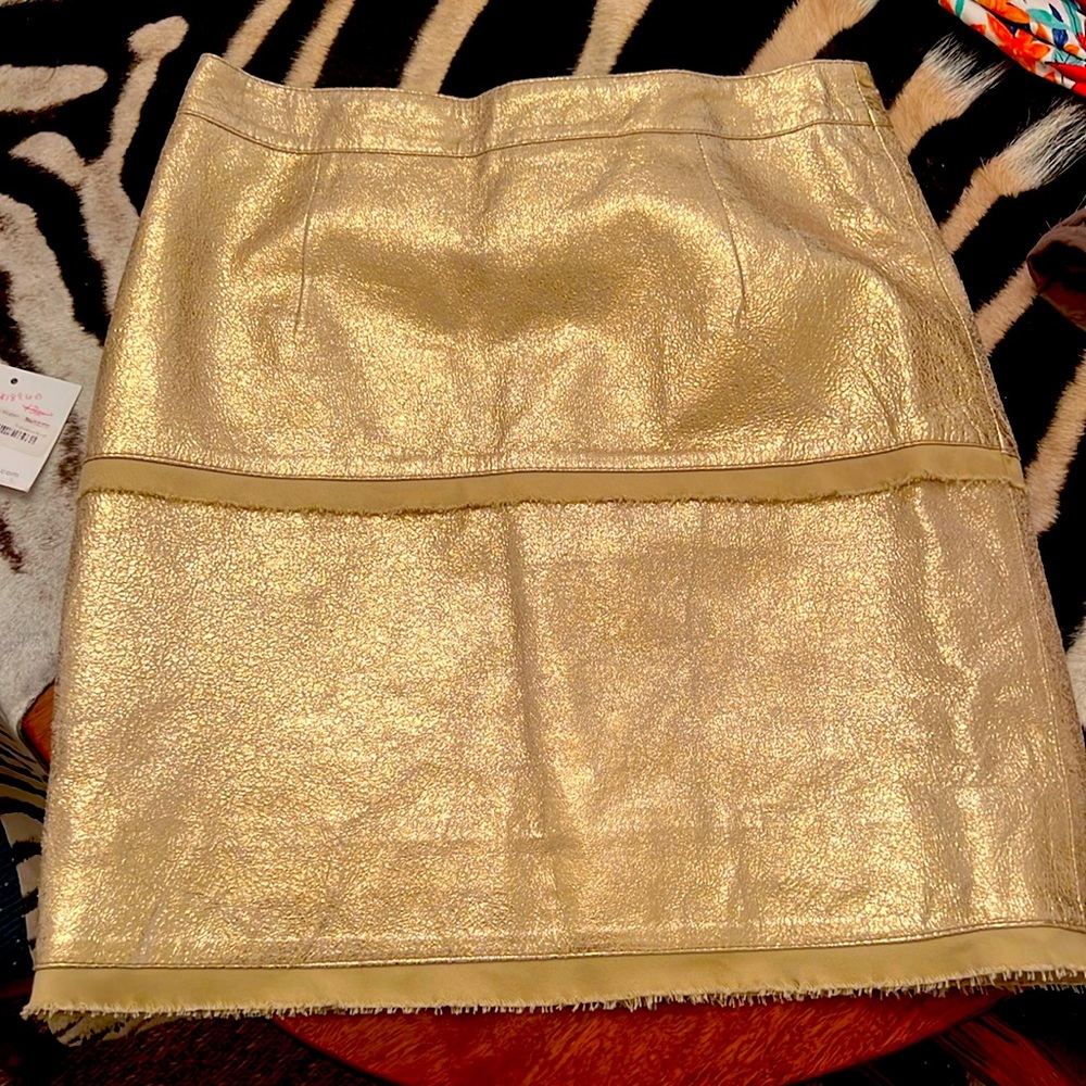 Sarah Stewart Leather Gold Skirt